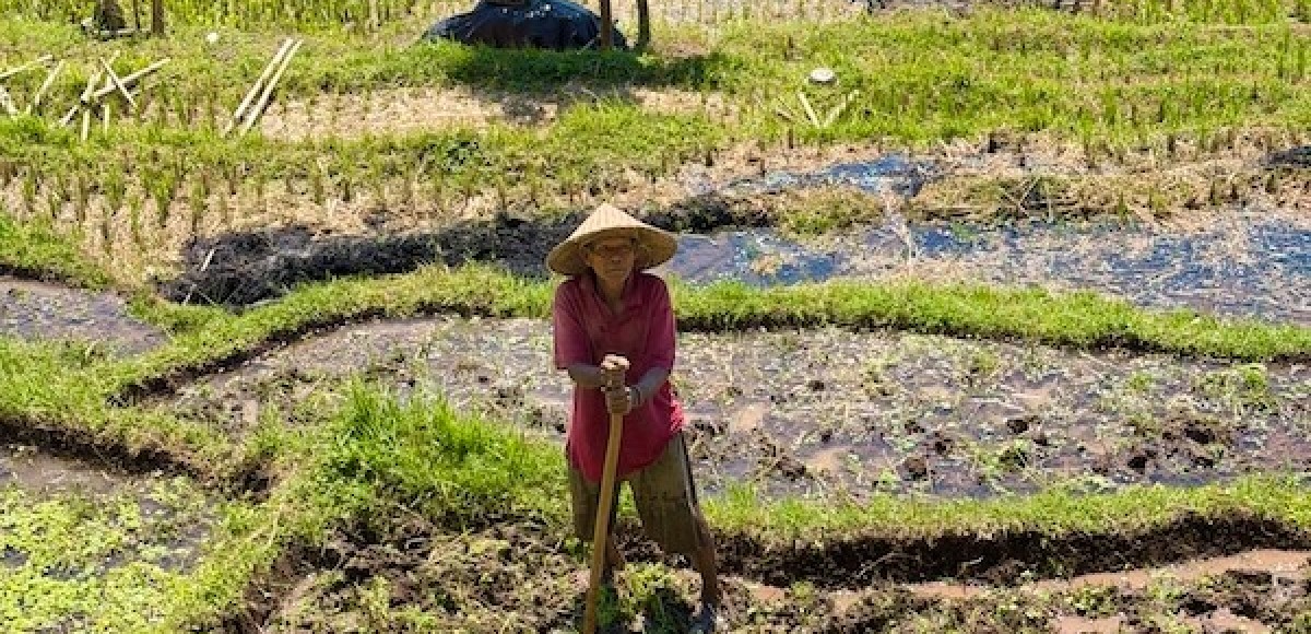 Programma vrouwenretreat Oost-Bali